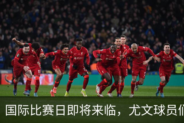 国际比赛日即将来临，尤文球员们各显神通