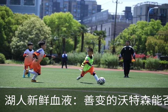 湖人新鲜血液：善变的沃特森能否续写奇迹？