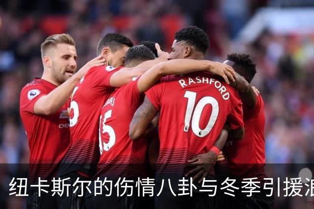 纽卡斯尔的伤情八卦与冬季引援浪潮